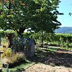 Апартаменты Gartenhaus Am Weinberg