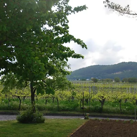 Gartenhaus Am Weinberg Apartamento *