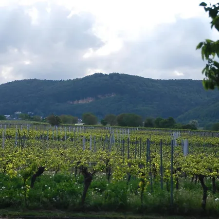 Gartenhaus Am Weinberg Bochingen