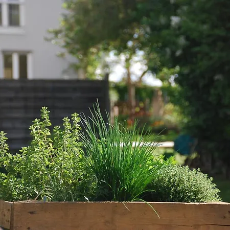 Gartenhaus Am Weinberg Апартаменты