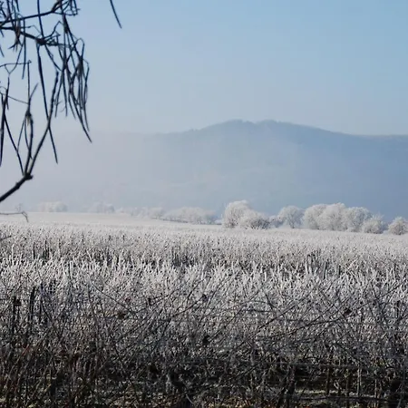 Gartenhaus Am Weinberg Bochingen