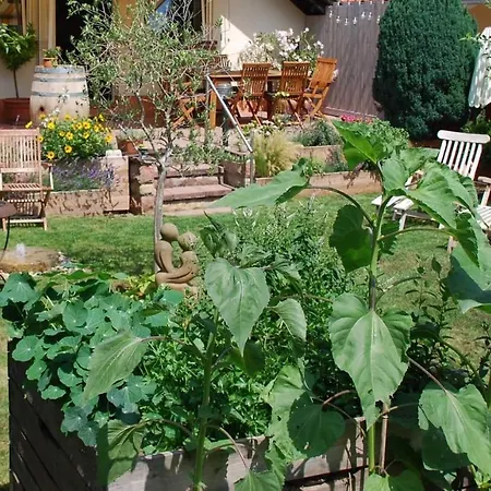 Gartenhaus Am Weinberg Apartment