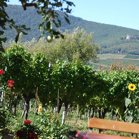 Апартаменты Gartenhaus Am Weinberg Bochingen