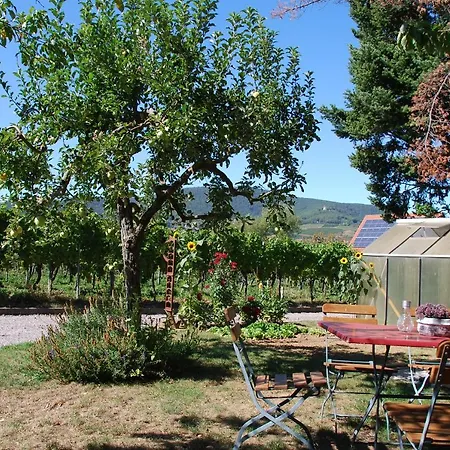 Gartenhaus Am Weinberg Апартаменты Bochingen