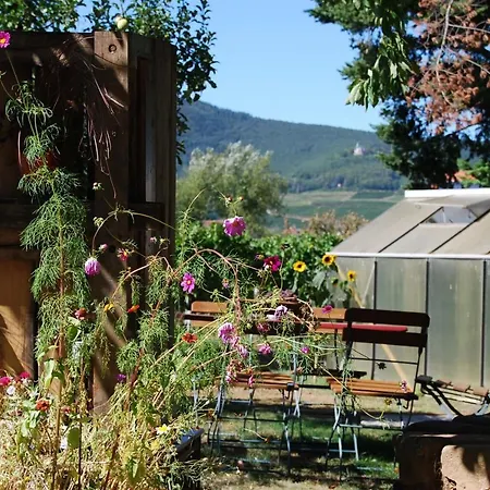 Gartenhaus Am Weinberg