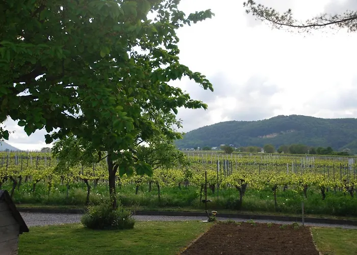 Gartenhaus Am Weinberg Lejlighed *