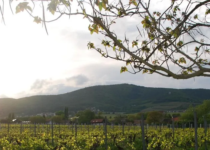 Gartenhaus Am Weinberg アパート *