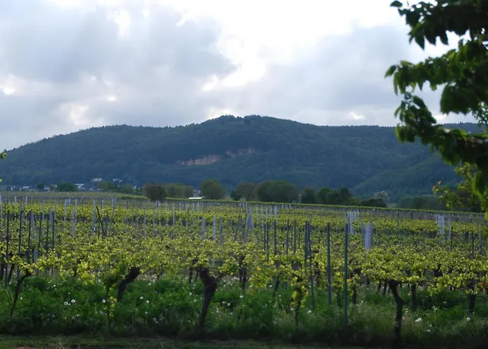 Gartenhaus Am Weinberg Bochingen