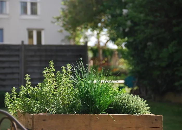 Gartenhaus Am Weinberg アパート