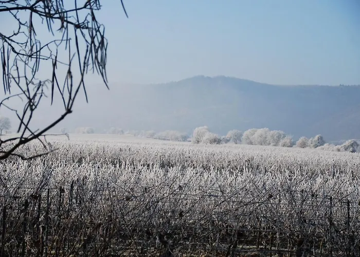Gartenhaus Am Weinberg Bochingen