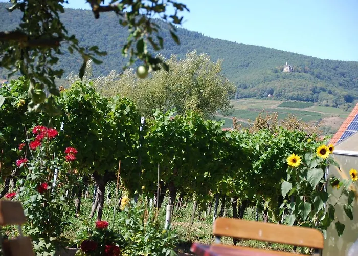 Lejlighed Gartenhaus Am Weinberg Bochingen