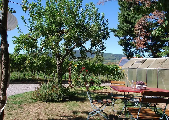 Gartenhaus Am Weinberg Lejlighed Bochingen